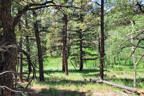0.61 acres, Aguilar, CO, Property ID: 16116157 | Land and Farm