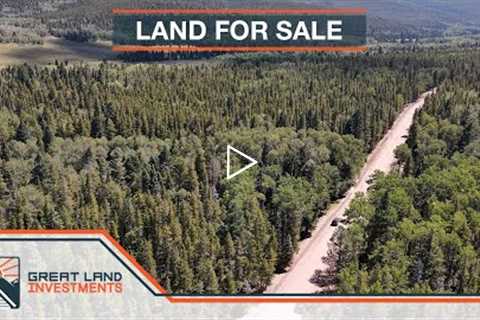 Fully Treed, Adjacent Lots, Forbes Park, Mountain Land For Sale in Colorado