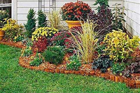 How to Landscape on a Budget
