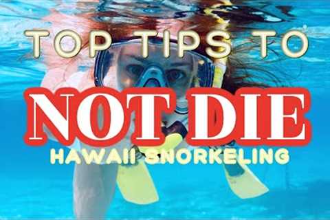 Don''''t DIE Snorkeling in Hawaii - Top Tips from Eric West