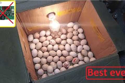 Beat idea to hatch eggs Without an temperature controller ||DIY- HOW TO MAKE EGG INCUBATOR A HOME
