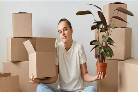 What happens if a moving company loses your stuff?