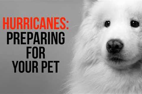 Hurricane Pet Preparedness