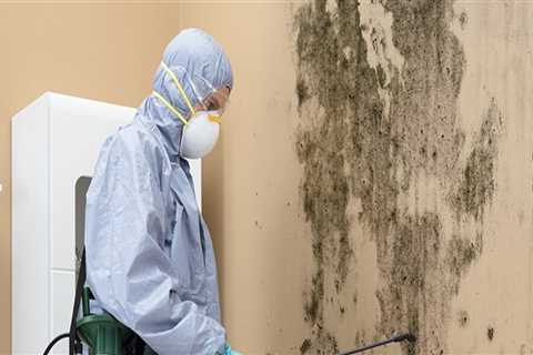 Why Mold Remediation Is Critical During Home Inspections In Central Illinois
