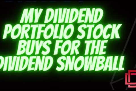 Dividend Stock Buys and Dividend Investing Strategy (for the Dividend Snowball Effect)