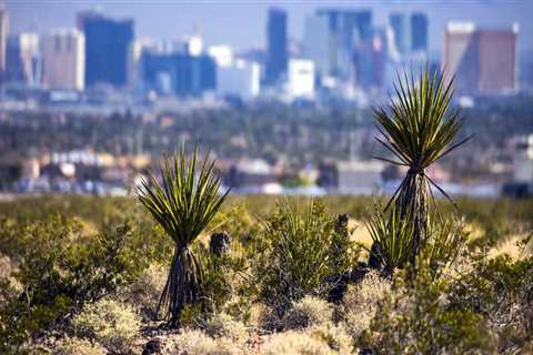 Real Estate Investing in Clark County, Nevada: How Tourism Impacts the Market