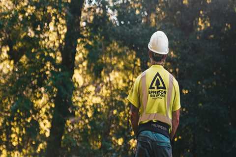 Maximizing Property Potential: How Tree Trimming Services In Hattiesburg, MS Can Help Prepare Your..