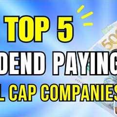 Top 5 Dividend Paying Small Cap Companies / Dividend Investing for Passive Income