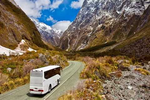 Understanding Public Transit Systems in New Zealand