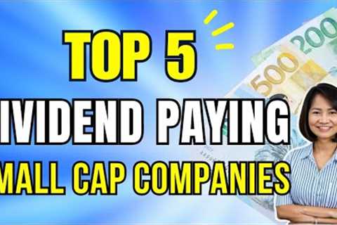 Top 5 Dividend Paying Small Cap Companies / Dividend Investing for Passive Income