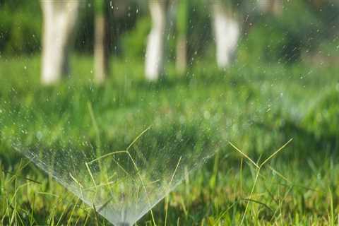 Why Every Home Remodel In Pembroke Pines Needs An Irrigation Winterization Company