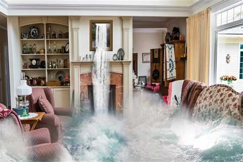 Capturing The Beauty: How Water Damage Restoration Services In Portland, OR Can Enhance Your Real..