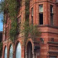 Restoration of Original Features: Bringing New Life to Old Buildings