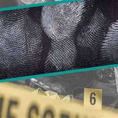 Maintaining Accurate Records for Future Preservation Efforts