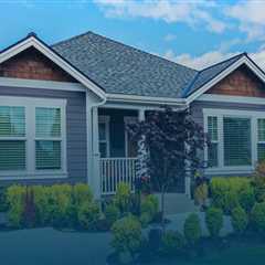 Mold Removal Experts Dedicated To Preserving Green Homes In Charleston, SC