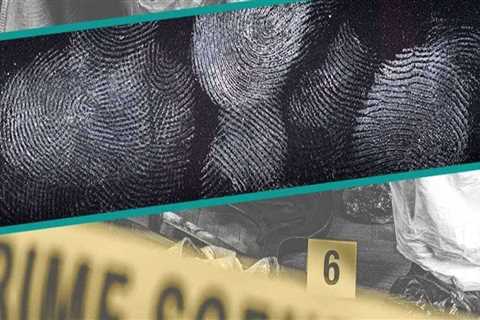 Maintaining Accurate Records for Future Preservation Efforts