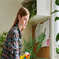 The Clean Advantage: Why Grand Rapids Maid Services Help Raise Home Appraisals