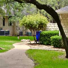 Healthy Trees Create Peaceful Environments In Greater Austin Senior Living Communities
