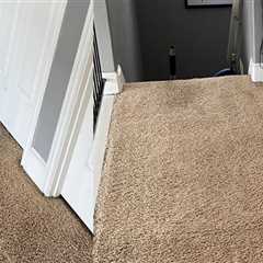 The Importance Of Wall-To-Wall Carpet Cleaning For Manufactured Homes In Tigard, OR
