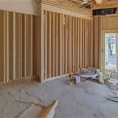 The Hidden Dangers: Why Your Bronx Home Remodel Needs A Bed Bug Control Plan