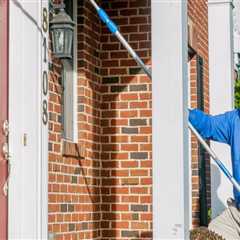 The Role Of Pest Treatment Service Providers In Maintaining Healthy Green Homes In Greenbelt, MD