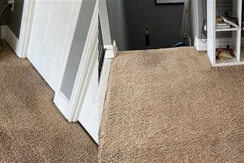The Importance Of Wall-To-Wall Carpet Cleaning For Manufactured Homes In Tigard, OR