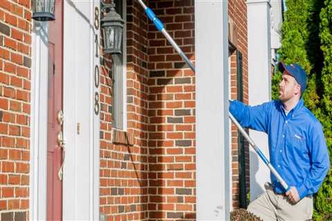 The Role Of Pest Treatment Service Providers In Maintaining Healthy Green Homes In Greenbelt, MD