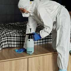 Eco-Conscious Move Out Cleaning Elevating Orlando’s Green Homes Market