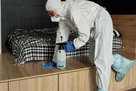 Eco-Conscious Move Out Cleaning Elevating Orlando’s Green Homes Market