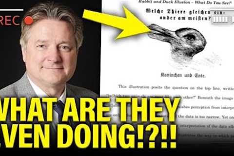 Trump Judge DRAWS PICTURES in most BIZARRE RULING Ever