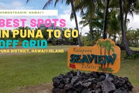 Where in Puna is the Best Subdivision for Off Grid Homesteading?