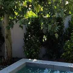 The Hidden Hero Of Green Homes: Why Plumbing Contractors Matter In Livermore, CA