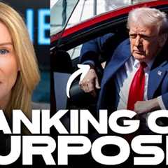IHIP News: Trump Selling Teslas as Americans LOSE Their Life Savings