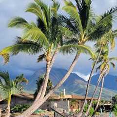 House hunting Maui Hawaii!