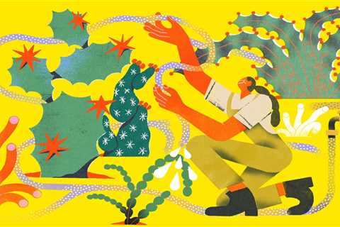 Gardening in Extremes: How to Cultivate a Drought-Tolerant Landscape
