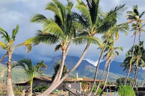 House hunting Maui Hawaii!