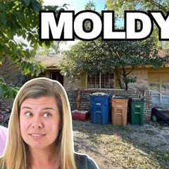 Flipping the Most Disgusting House We''ve Ever Seen | Complete Remodel
