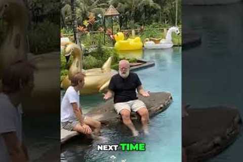 Journey Along the Migration Route: Future Travels? #shorts