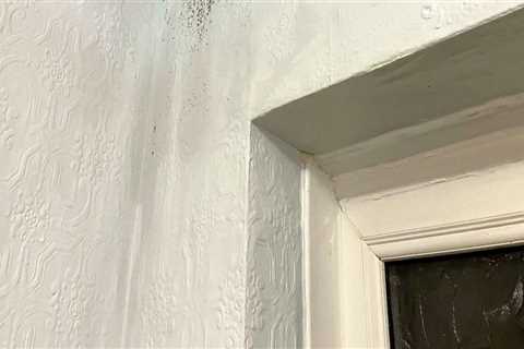 The Connection Between House Painting and Moisture Control in Older Homes