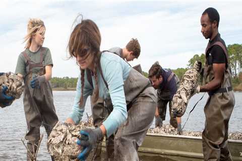 The Ever-Changing Business Landscape of Northwest Florida