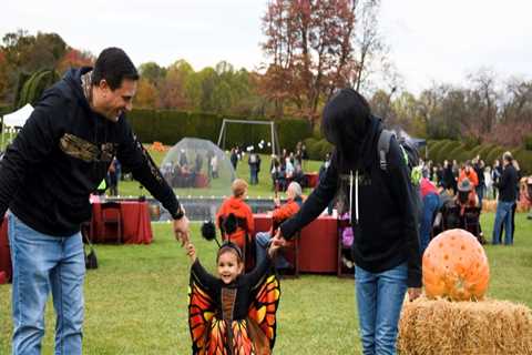 The Ultimate Guide to Live Entertainment in Southern Maryland: From an Expert's Perspective