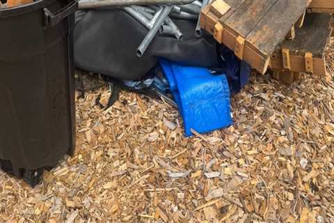 Stump Grinding In Damascus: A Key Step In Manufactured Home Maintenance