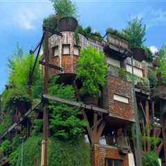 Green Home Building Materials That Are Changing Construction