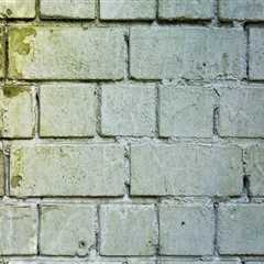 Enhance Your Green Home with Expert Mold Remediation