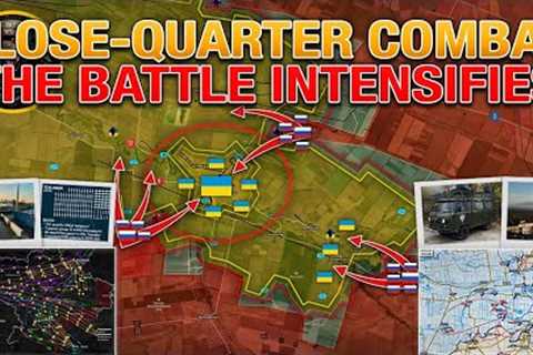 Harvest Time🔥 Terrible Consequences💥 The Battle Has Reached Its Decisive Stage⚔️ MS For 2024.11.17