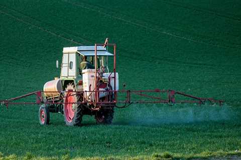 Protect Your Home Remodel from Pests in Massachusetts