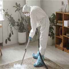 Rug Cleaning Solutions for Eugene Property Owners