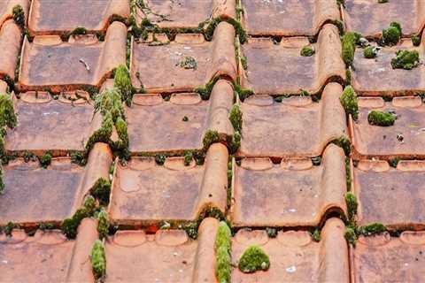 Enhance Curb Appeal with Roof Cleaning in Vancouver