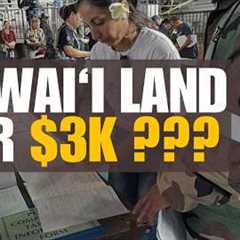 We Spent the Day Bidding on $3,000 Land in Hawai‘i (Tax Auction Vlog)