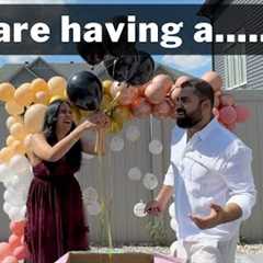 Boy or Girl?  Our official Baby Gender Reveal!